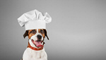Сlipart dog background funny lunch restaurant   BillionPhotos
