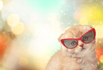 Сlipart discount cat background business design   BillionPhotos