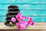 Сlipart Orchid Spa Treatment Stone Flower Single Flower   BillionPhotos