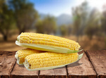 Сlipart Corn Corn On The Cob Cereal Plant Vegetable Isolated   BillionPhotos