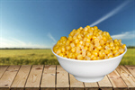 Сlipart Corn Sweetcorn Isolated Yellow Heap   BillionPhotos