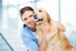 Сlipart veterinarian dog hugging vet health   BillionPhotos