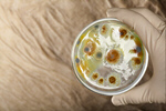 Сlipart Anthrax Bacterium Petri Dish Microbiology Science   BillionPhotos