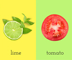 Сlipart Tomato and lemon food grocery pattern abstract   BillionPhotos