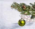 Сlipart Christmas Snow Branch Decoration Green   BillionPhotos