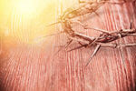 Сlipart crown thorns branch christ christianity   BillionPhotos