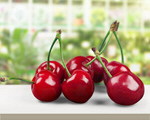 Сlipart cherries art background berry cherry background   BillionPhotos