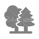 Сlipart Tree Environment Nature Plant Isolated vector icon cut out BillionPhotos