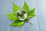 Сlipart Alternative Energy Environment Earth Globe Leaf   BillionPhotos