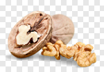 Сlipart walnut nut set closeup leaves photo cut out BillionPhotos