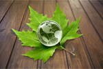 Сlipart Alternative Energy Environment Earth Globe Leaf   BillionPhotos
