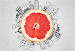 Сlipart Grapefruit Citrus Fruit Fruit Cross Section White   BillionPhotos