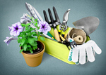 Сlipart Gardening Gardening Equipment Flower Pot Plant Potted Plant   BillionPhotos