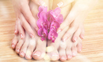 Сlipart feet nail care salon hand   BillionPhotos