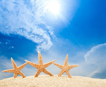Сlipart beach starfish 2014 coco tourism   BillionPhotos