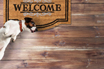Сlipart active adorable animal welcome mat   BillionPhotos