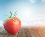 Сlipart tomato background clipping path closeup color   BillionPhotos