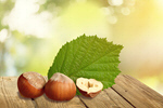 Сlipart hazelnut falling background food white   BillionPhotos