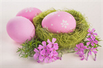 Сlipart easter happy easter decoration flowers spring photo  BillionPhotos