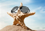 Сlipart Sunglasses Starfish Beach Summer Single Object   BillionPhotos