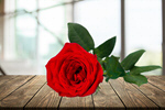 Сlipart red rose abstract anniversary backdrop   BillionPhotos