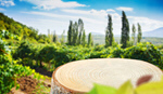 Сlipart table board morning plantation stump   BillionPhotos