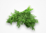 Сlipart coriander top view parsley leaf   BillionPhotos