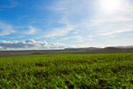 Сlipart agriculture farm landscape rows background photo  BillionPhotos