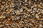 Сlipart Timber Wood Log Firewood Tree photo  BillionPhotos