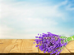 Сlipart Lavender Bouquet Lavender Coloured Flower Herb   BillionPhotos
