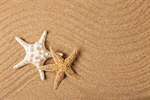 Сlipart sand beach background summer shell photo  BillionPhotos