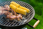 Сlipart Barbecue Grill Barbecue Party Picnic Summer photo  BillionPhotos
