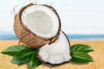 Сlipart Coconut Coco Fruit Leaf Green   BillionPhotos