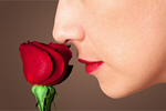 Сlipart rose woman scent smell women   BillionPhotos