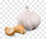Сlipart Garlic Isolated White White Background Isolated On White photo cut out BillionPhotos
