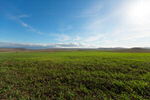 Сlipart agriculture farm landscape rows background photo  BillionPhotos