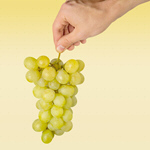 Сlipart Grape Winery Human Hand Fruit Men   BillionPhotos