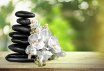 Сlipart Spa Treatment Orchid Stone Zen-like Flower   BillionPhotos