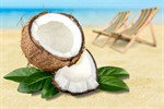 Сlipart Coconut Coco Fruit Leaf Green   BillionPhotos