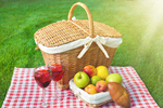 Сlipart Picnic Spring Food Wine Basket   BillionPhotos