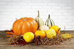 Сlipart kitchen harvest fall table wall   BillionPhotos