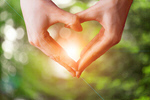 Сlipart hand heart love shape forest   BillionPhotos