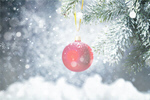 Сlipart Christmas Christmas Ornament Snow Christmas Decoration Winter   BillionPhotos