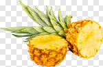 Сlipart Pineapple Fruit Tropical Fruit Portion Isolated On White photo cut out BillionPhotos