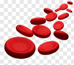 Сlipart Blood Blood Cell Red Blood Cell Red Human Blood Vessel 3d cut out BillionPhotos