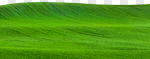 Сlipart golf green grass outdoor tee photo cut out BillionPhotos