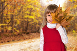 Сlipart Autumn Child Leaf People Little Boys   BillionPhotos