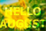 Сlipart august month background decoration sunflower   BillionPhotos