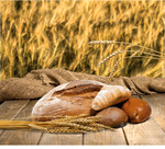 Сlipart Bakery Bread Loaf of Bread Wheat Merchandise   BillionPhotos