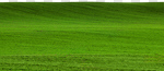 Сlipart golf green grass outdoor tee photo cut out BillionPhotos